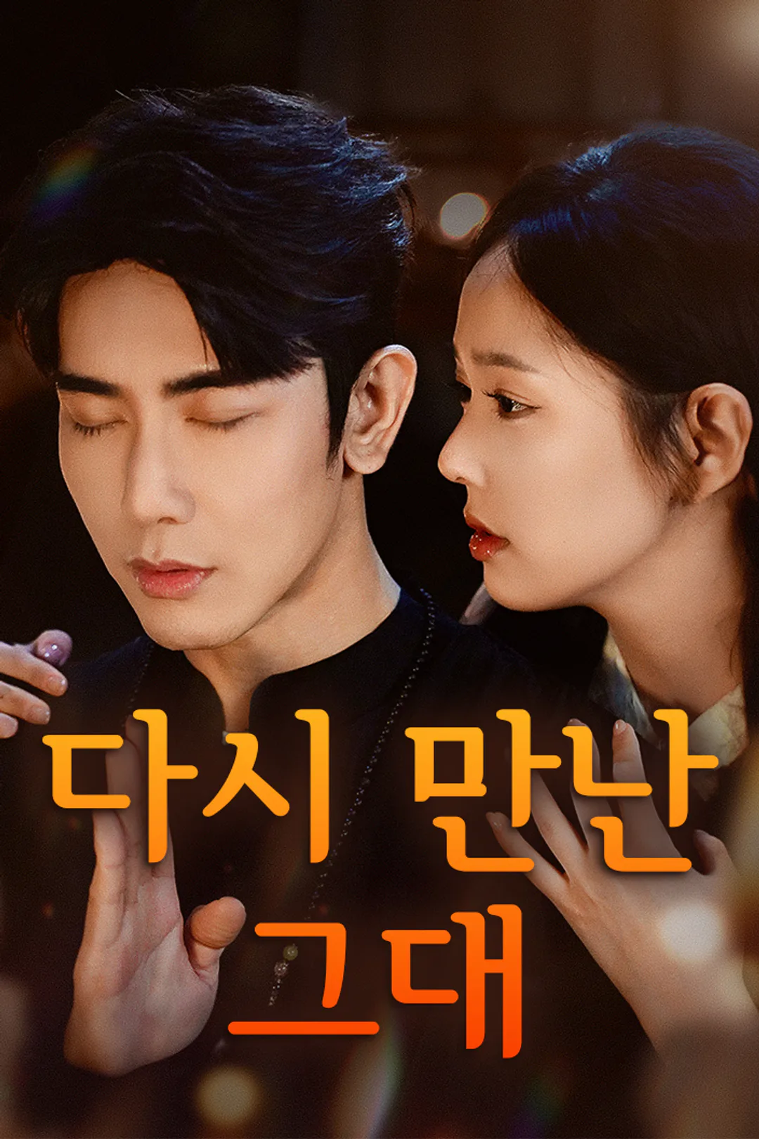 다시 만난 그대 포스터
