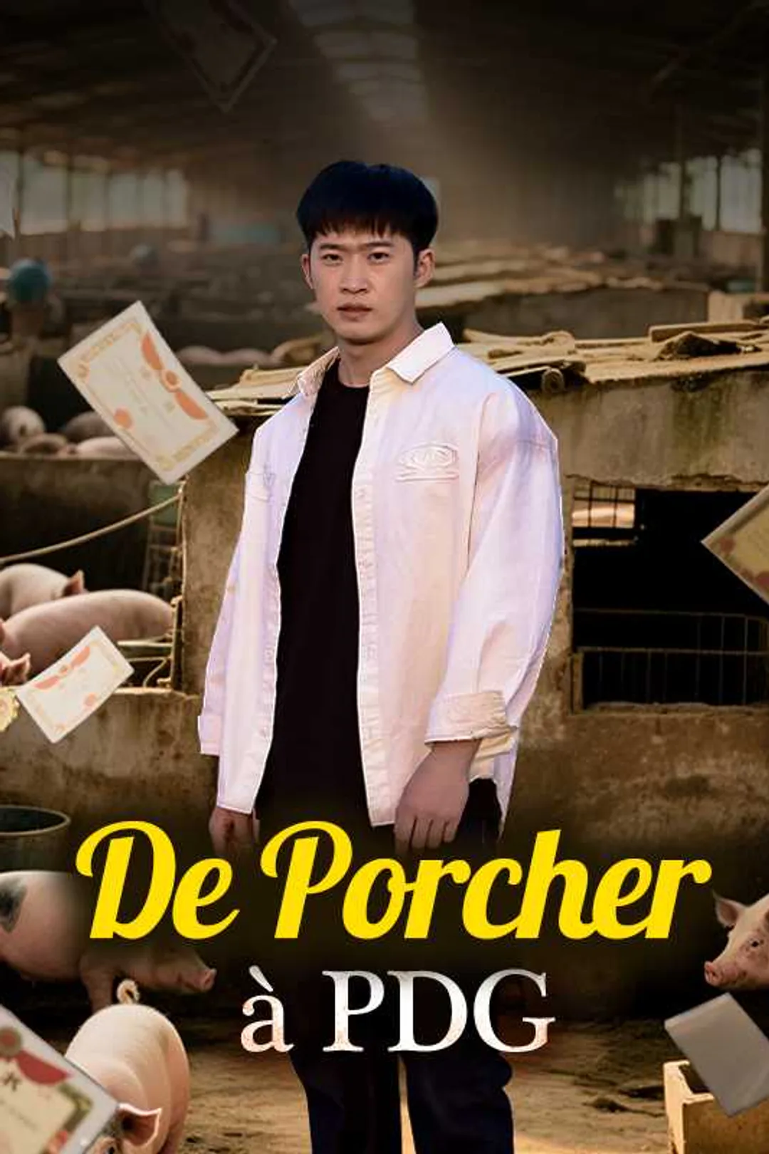 Affiche de De Porcher à PDG