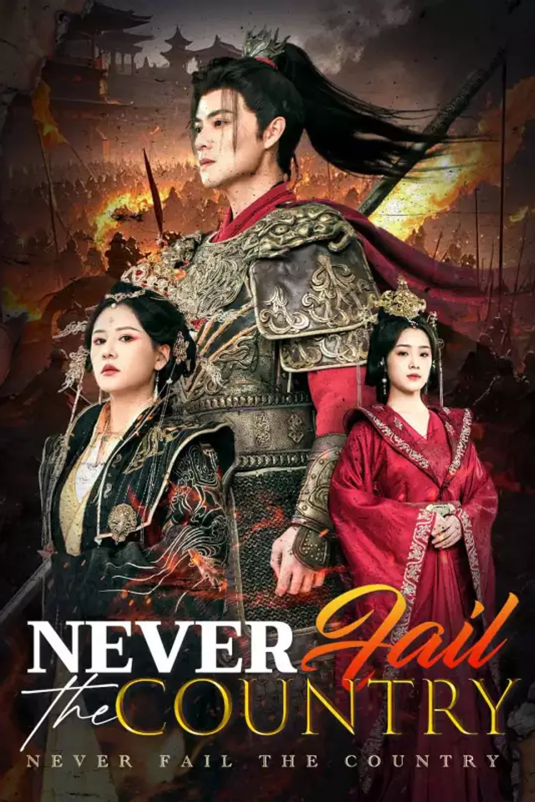 Pôster de Never Fail the Country
