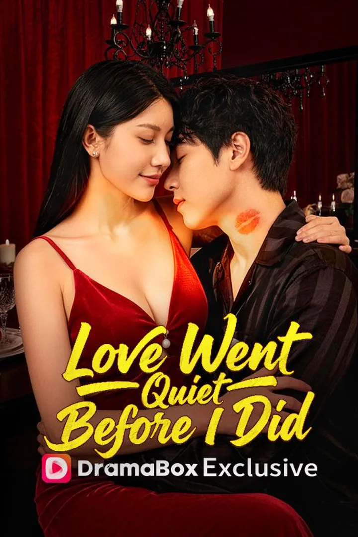Love Went Quiet Before I Did poster