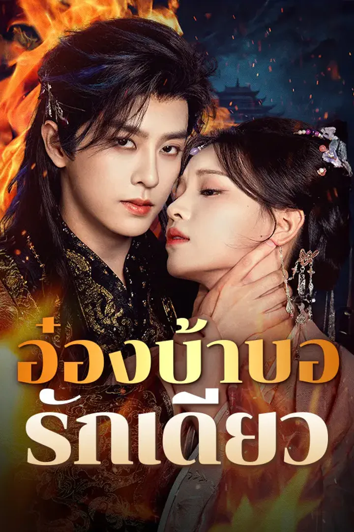โปสเตอร์ อ๋องบ้าบอรักเดียว