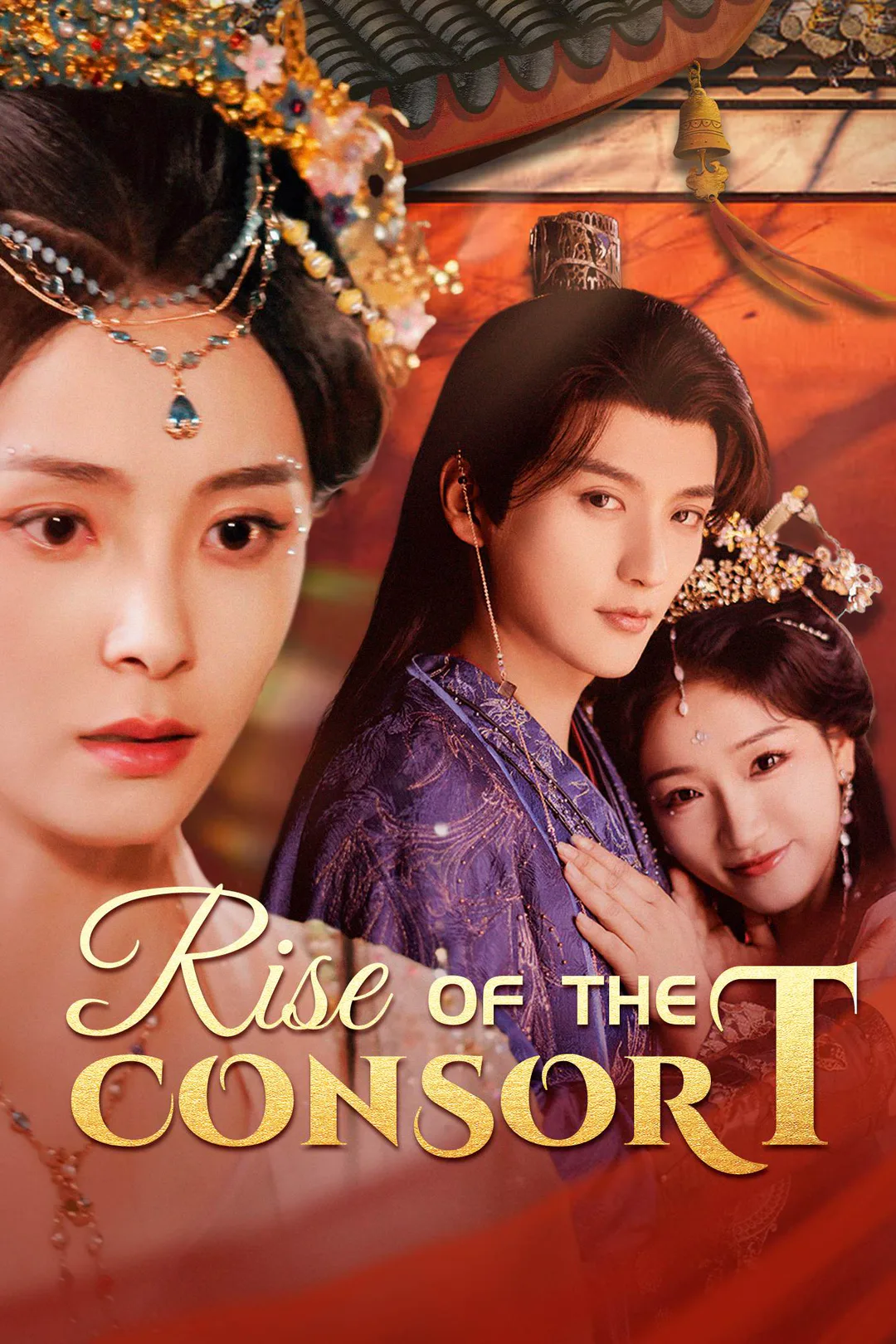 Rise of the Consort poster
