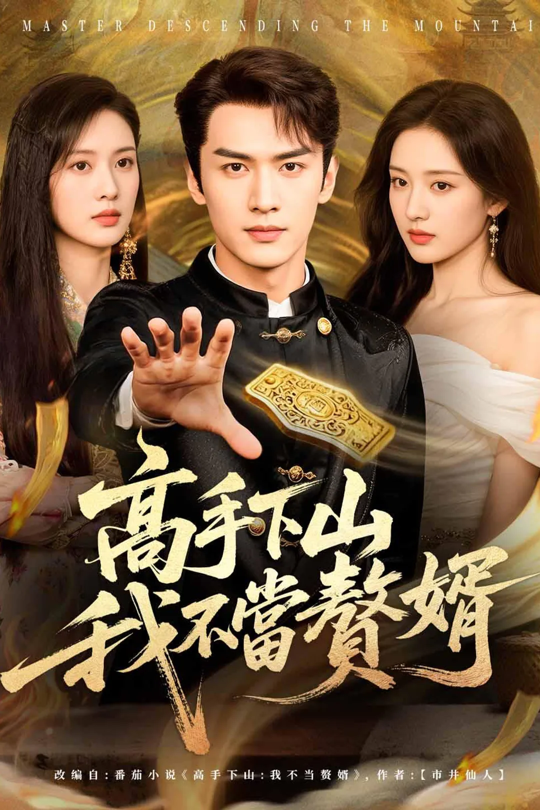 《高手下山，我不當贅婿》海報