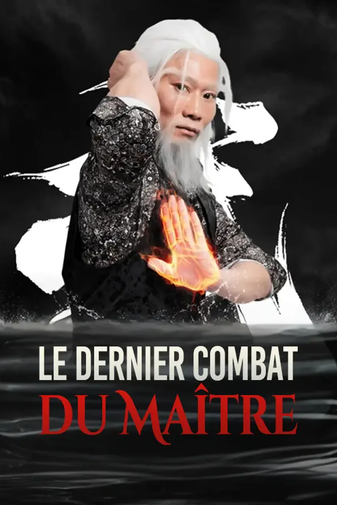 Affiche de Le Dernier Combat du Maître