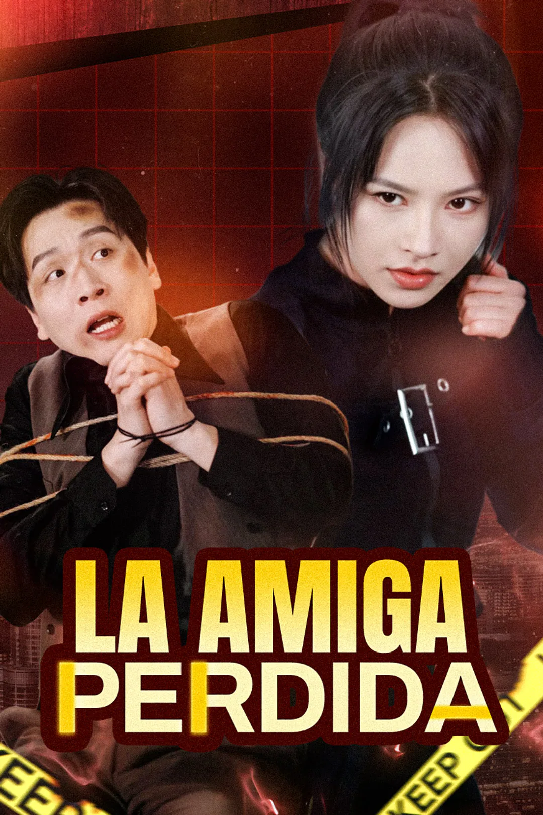 Póster de La amiga perdida