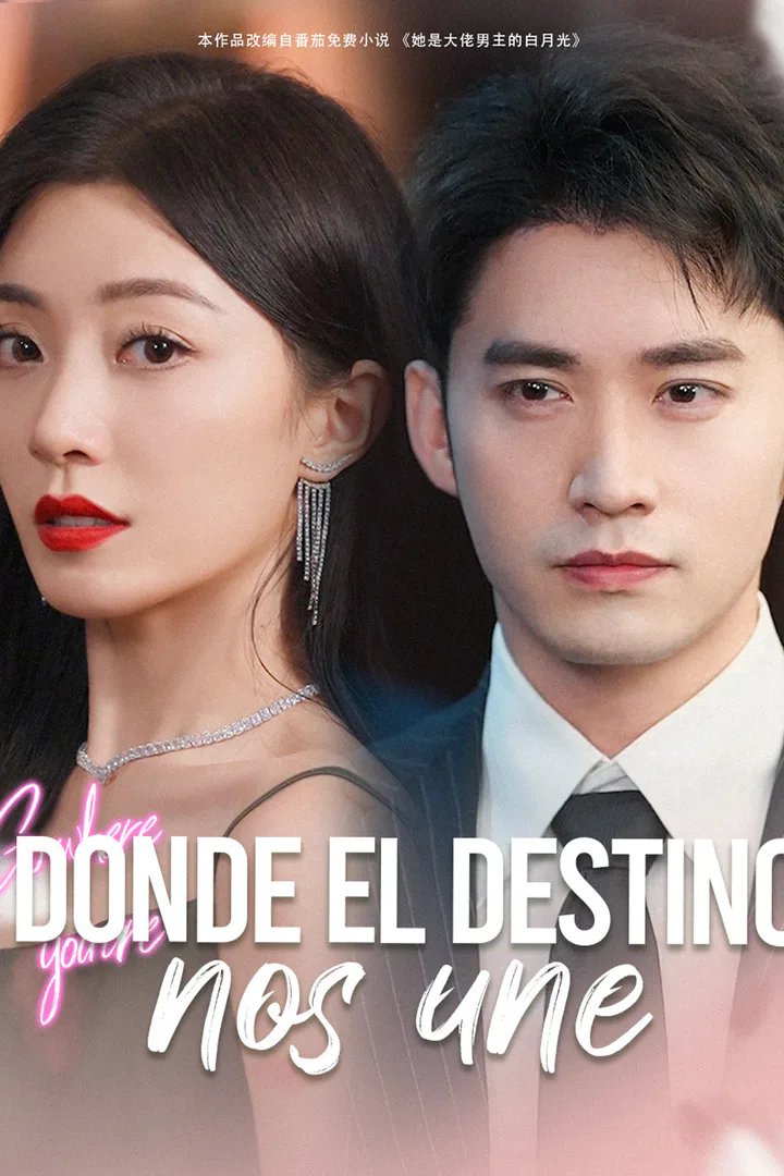 Póster de Donde el destino nos une