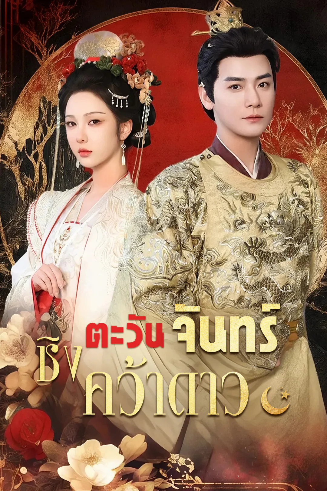 โปสเตอร์ ชิงตะวันจันทร์คว้าดาว