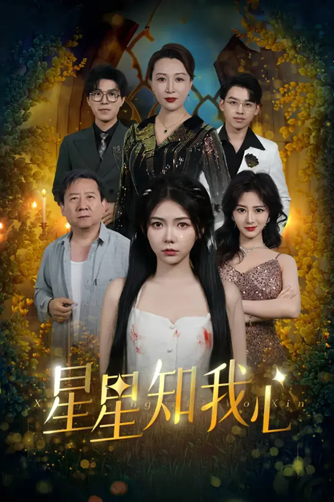 《星星知我心》海报