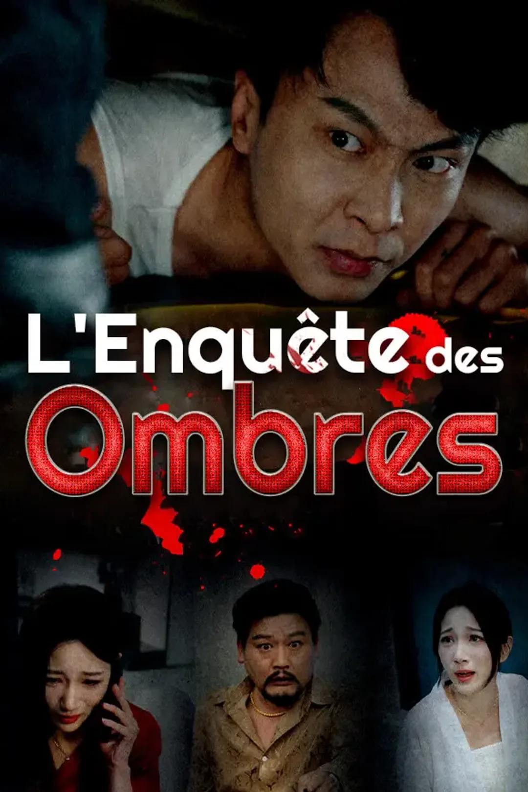 Affiche de L'Enquête des Ombres