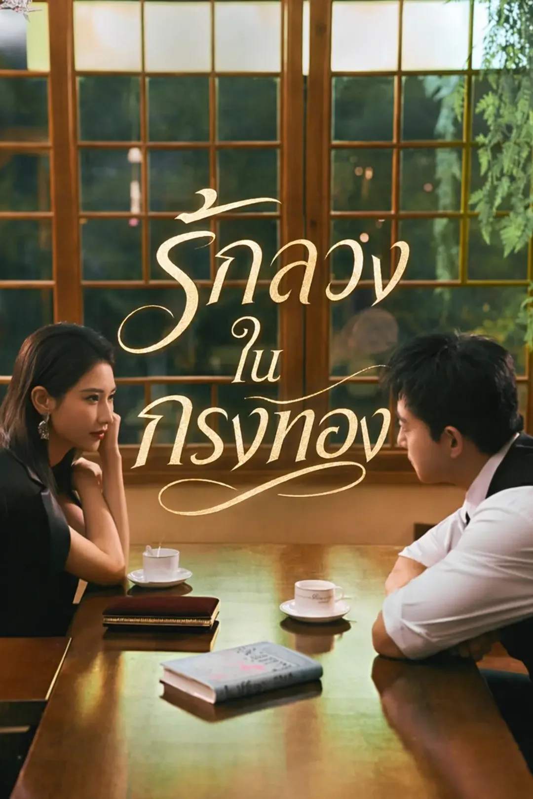 โปสเตอร์ รักลวงในกรงทอง