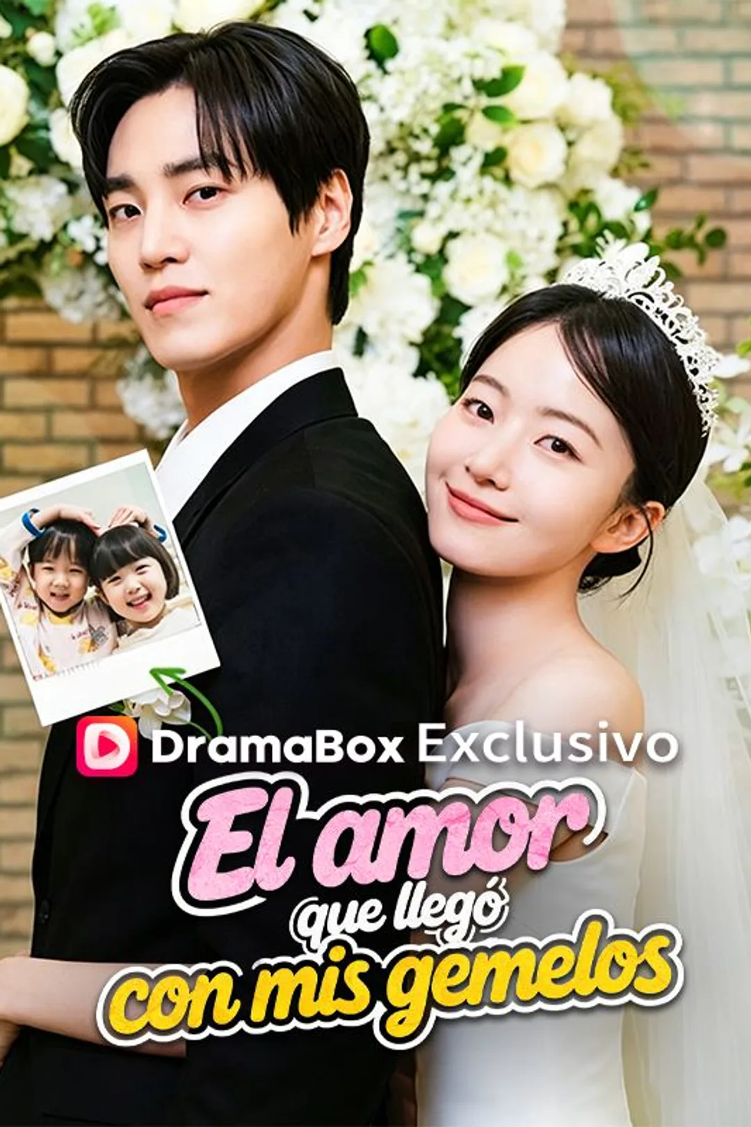 Póster de El amor que llegó con mis gemelos