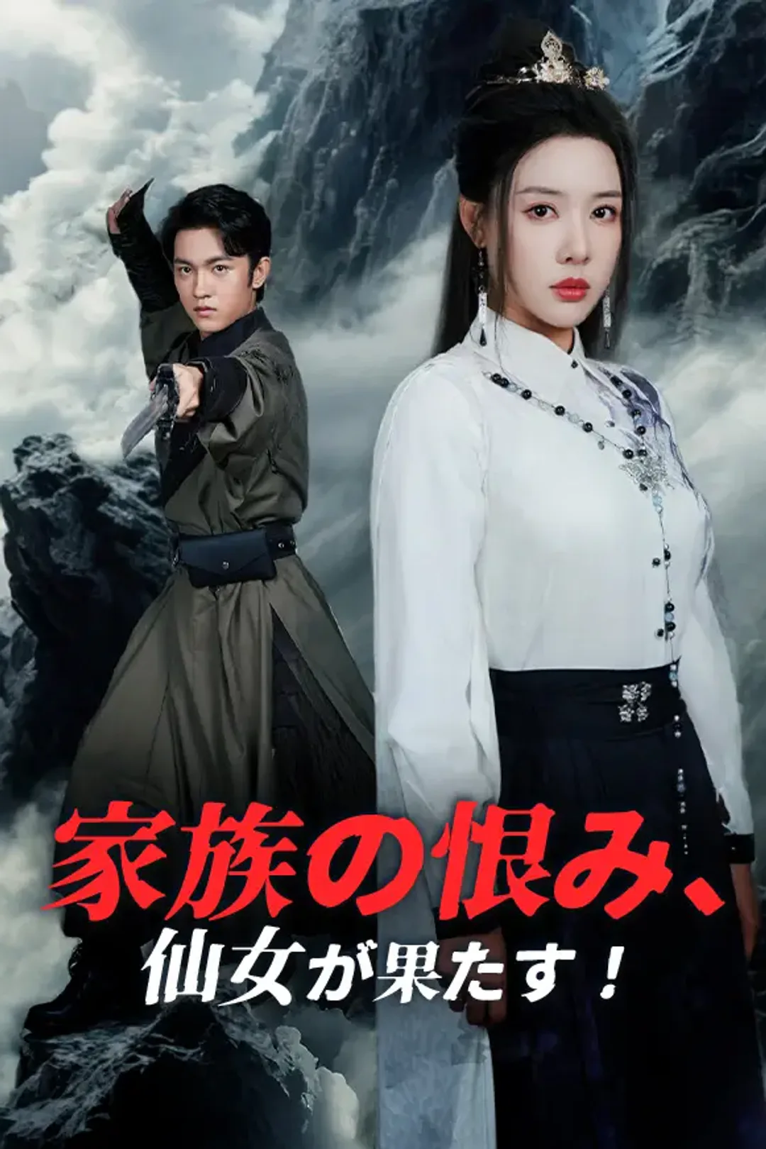 家族の恨み、仙女が果たす！のポスター