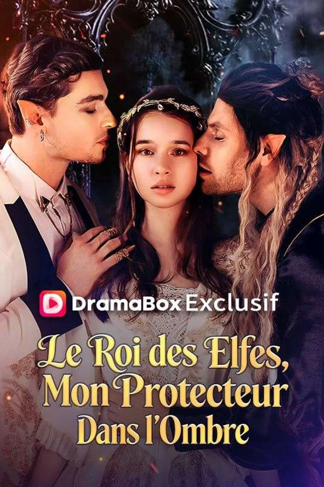 Affiche de Le Roi des Elfes, Mon Protecteur Dans l'Ombre
