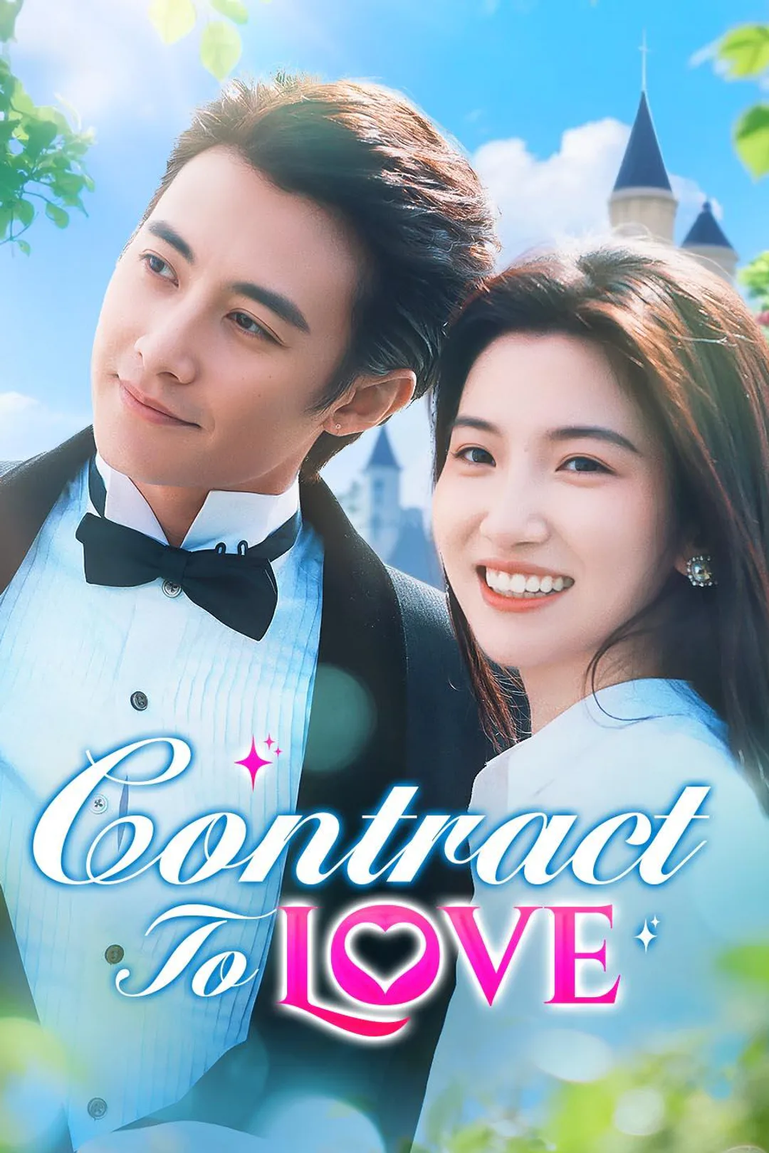 Contract To Love poster