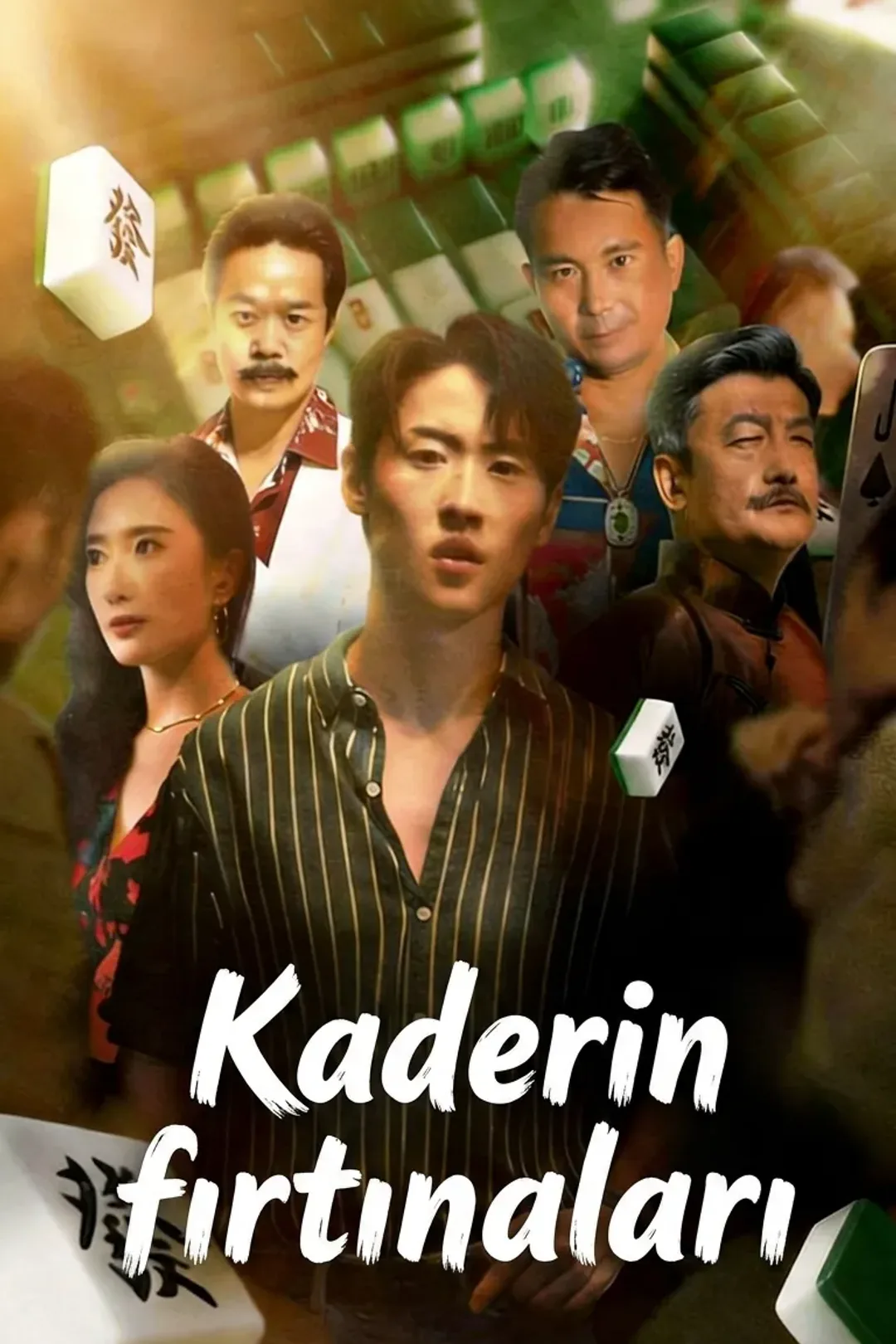 Kaderin fırtınaları afişi