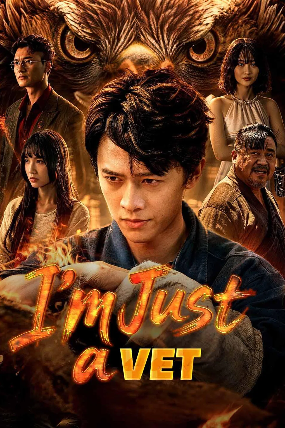 I‘m Just a Vet poster