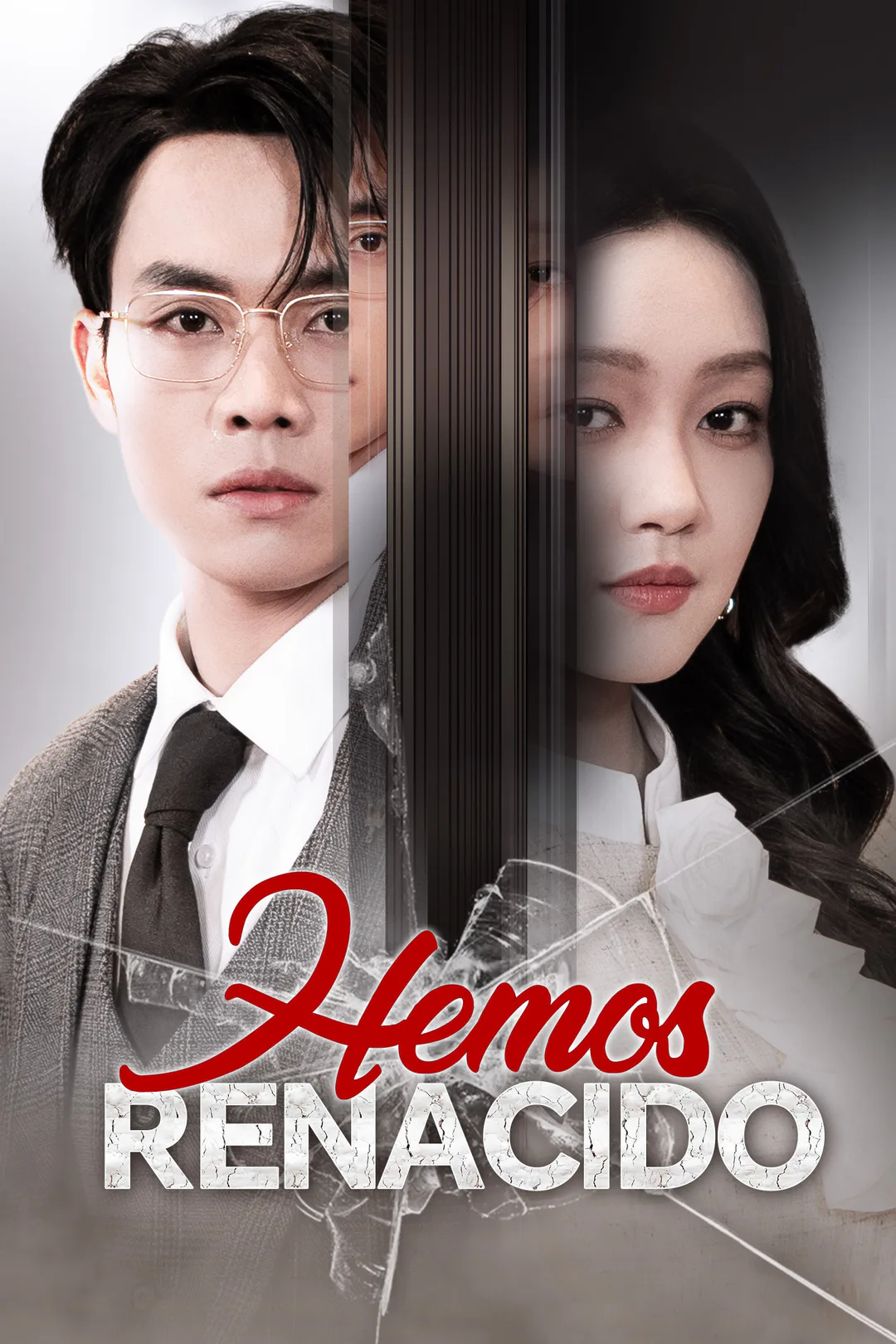 Póster de Hemos Renacido