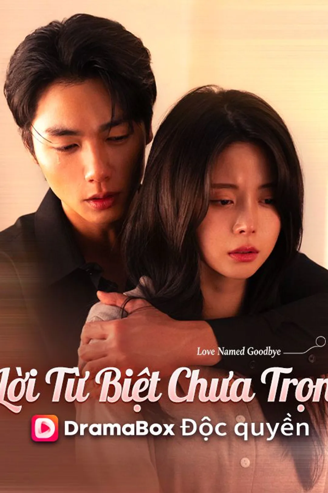 Poster phim Lời Từ Biệt Chưa Trọn