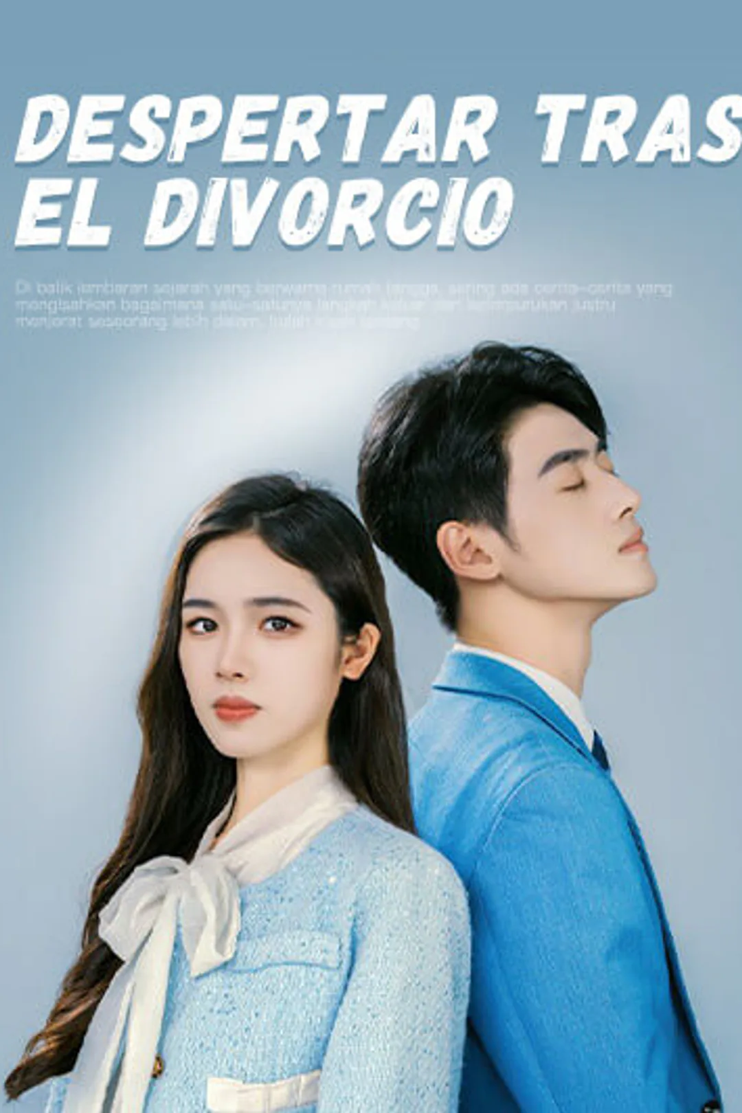 Póster de Despertar Tras el Divorcio