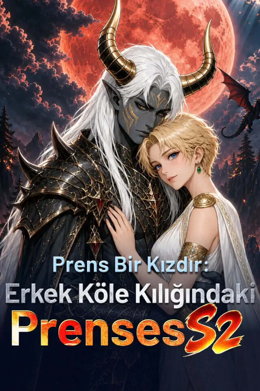 Prens Bir Kızdır: Erkek Köle Kılığındaki Prenses afişi