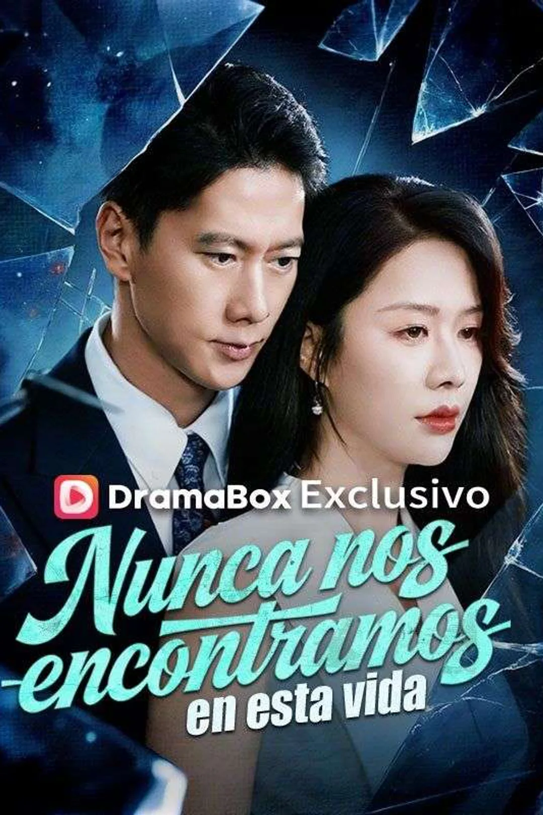 Póster de Nunca nos encontramos en esta vida