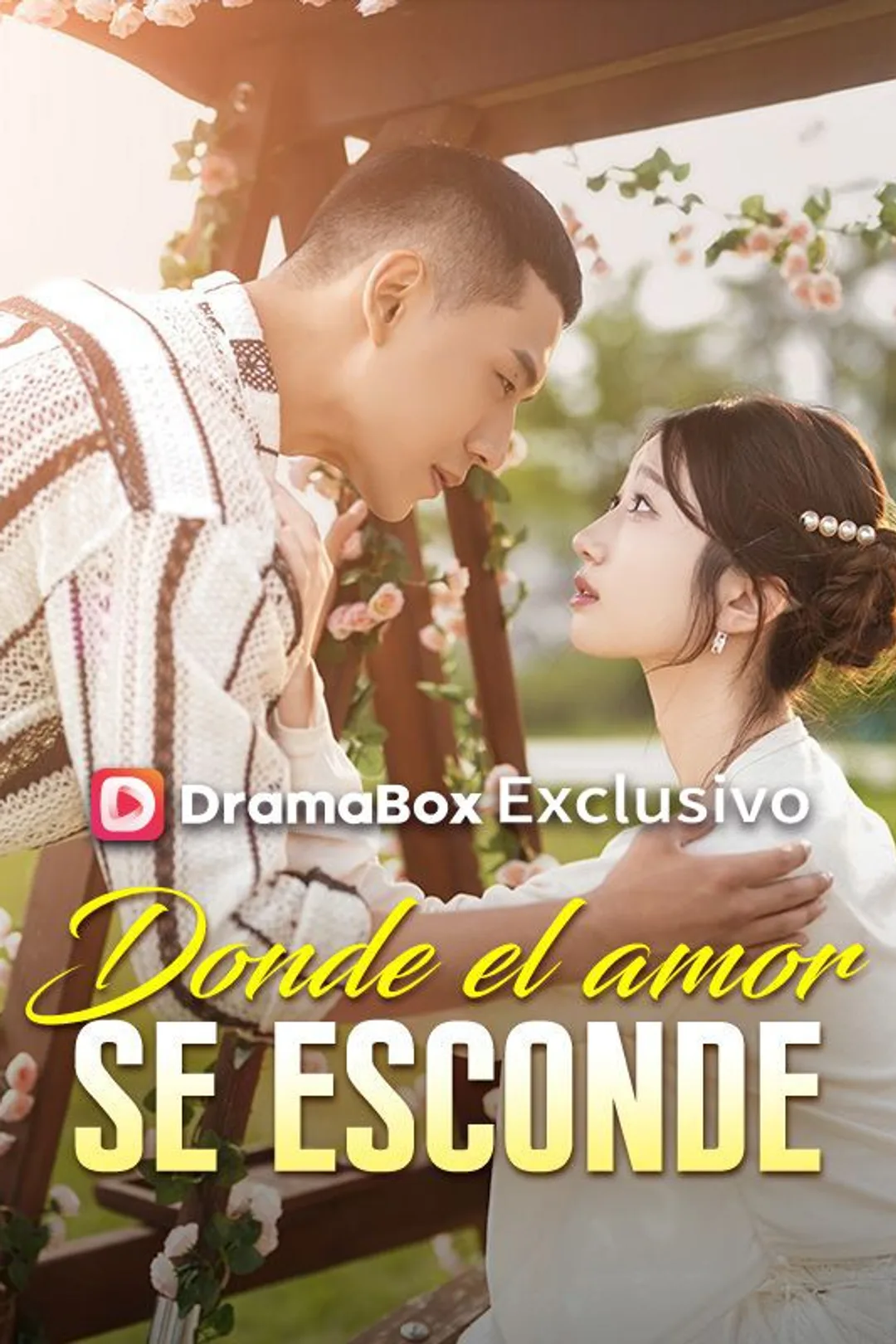 Póster de Donde el amor se esconde