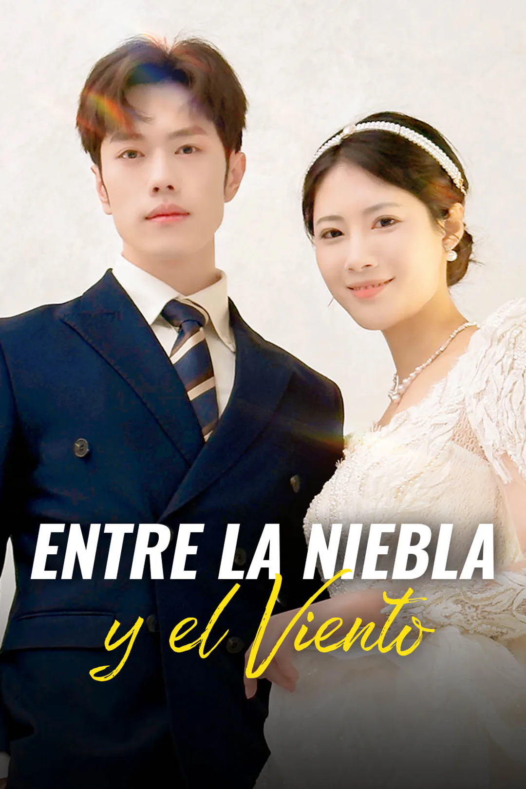 Póster de Entre la Niebla y el Viento