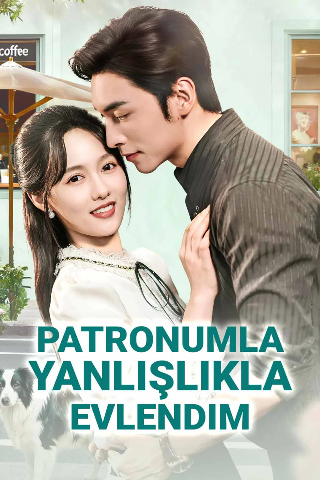 Patronumla Yanlışlıkla Evlendim afişi