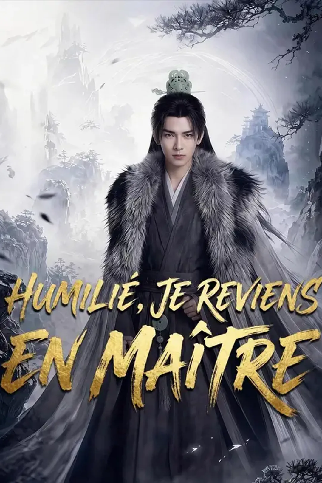 Affiche de Humilié, je reviens en maître