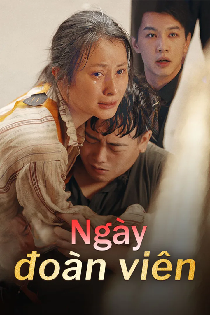 Poster phim Ngày đoàn viên