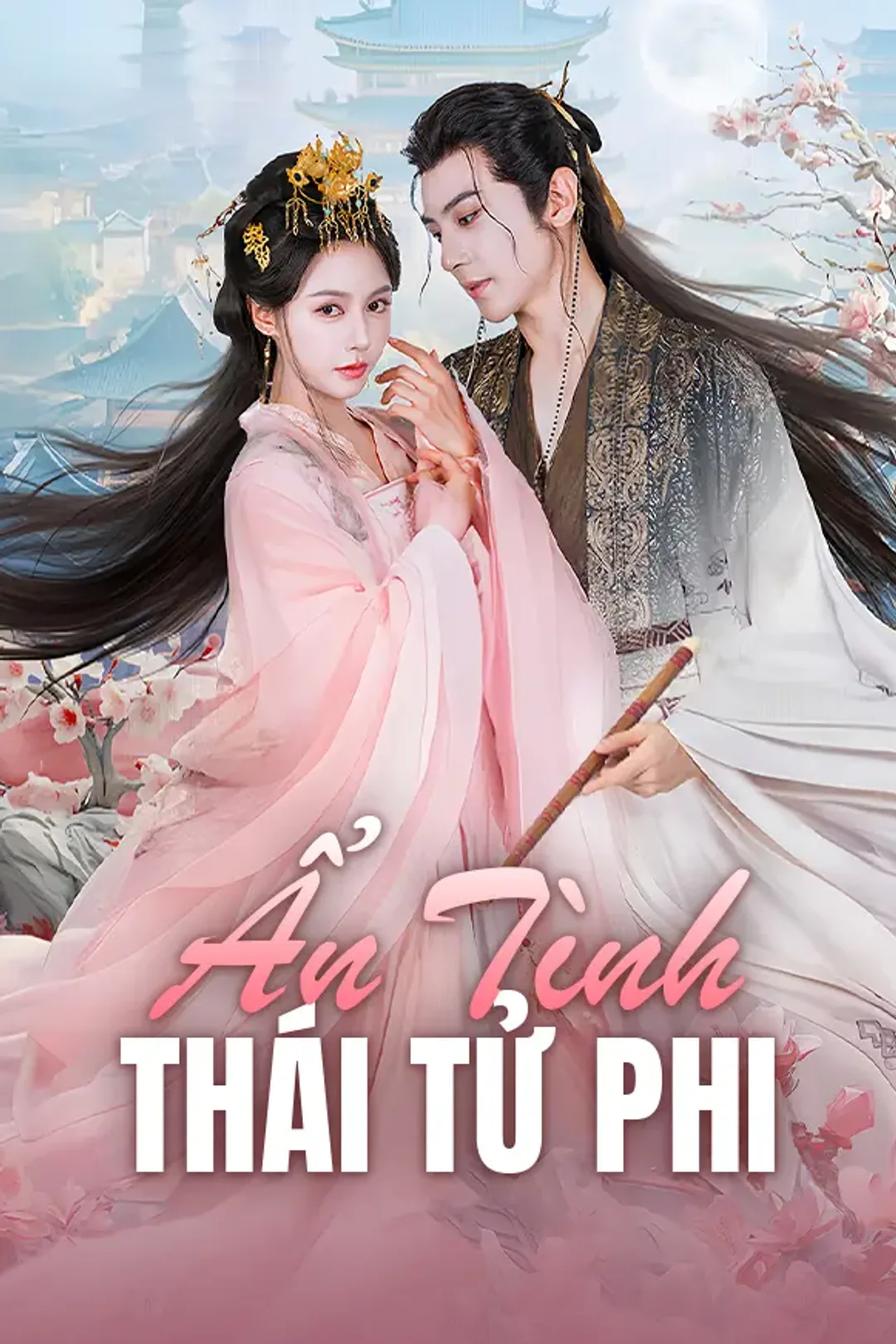 Poster phim Ẩn Tình Thái Tử Phi