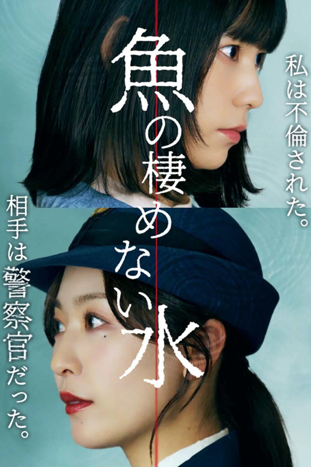 魚の棲めない水のポスター