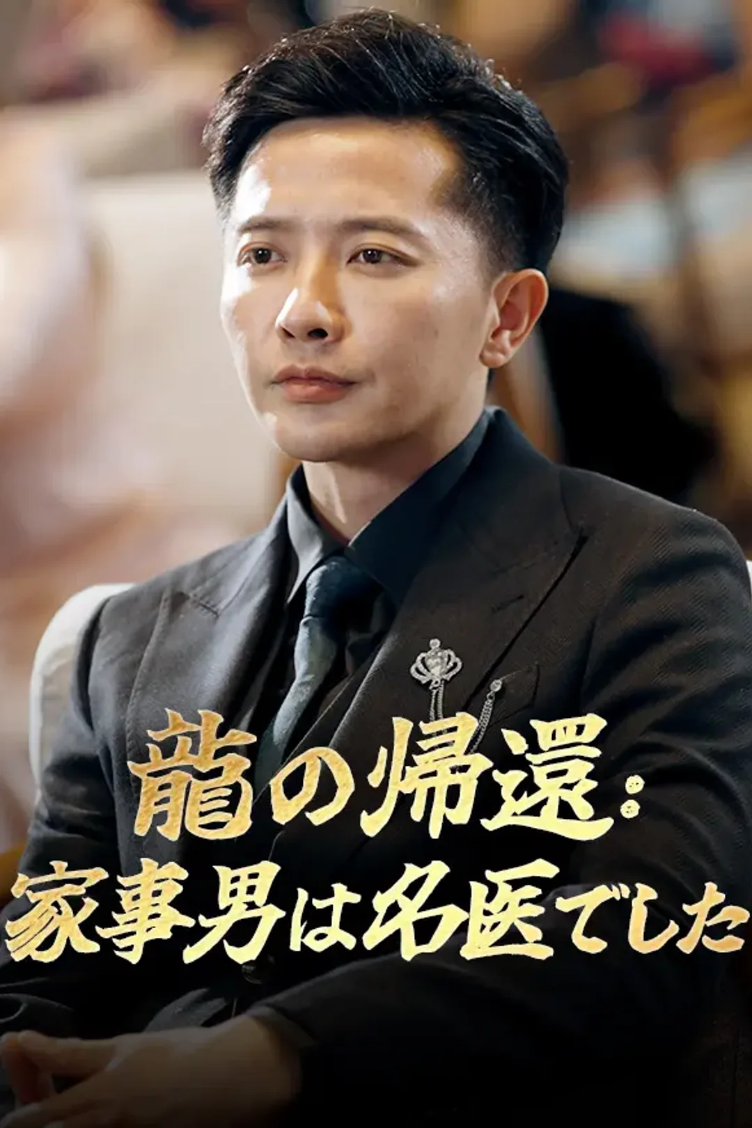 龍の帰還：家事男は名医でしたのポスター