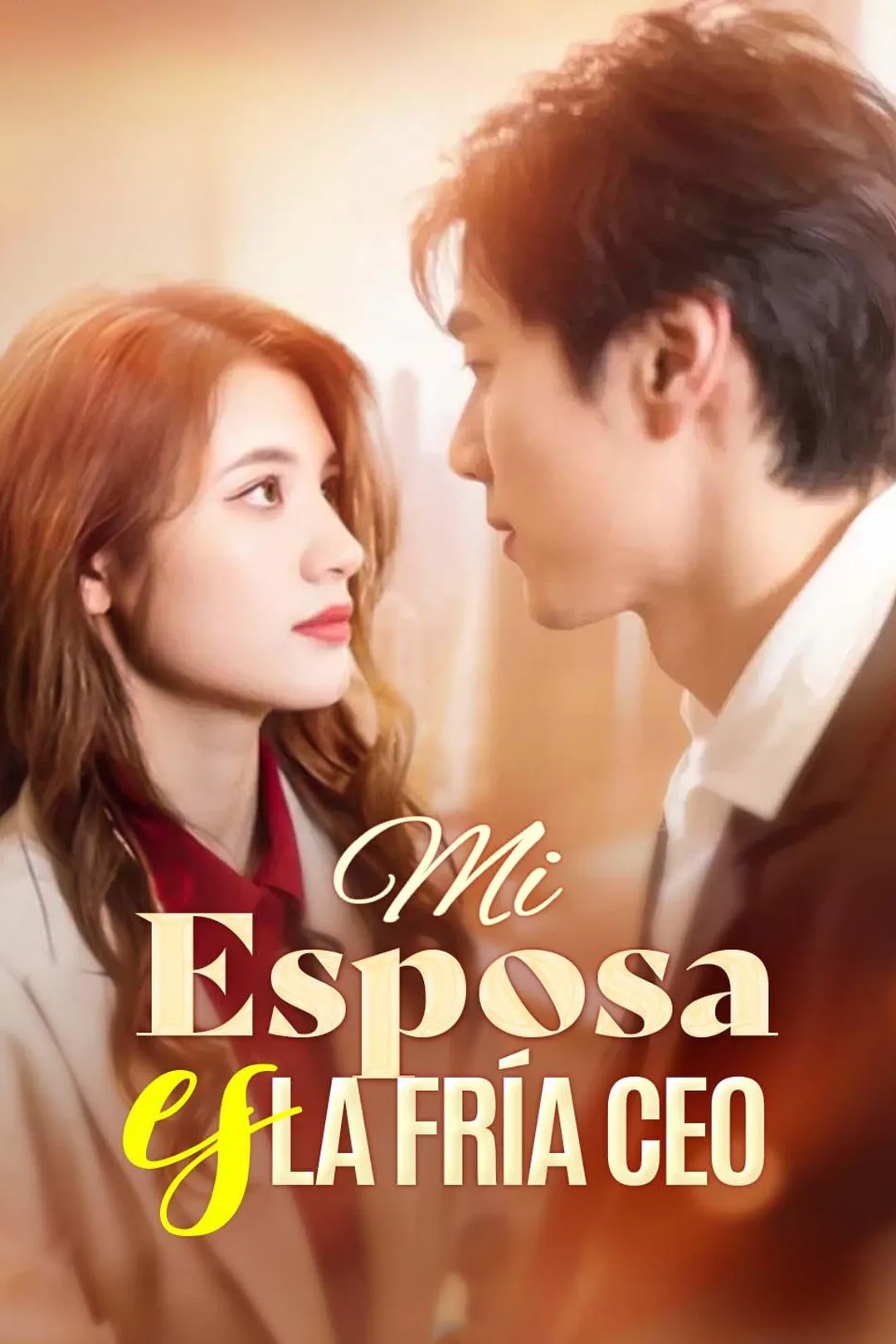 Póster de Mi esposa es la fría CEO