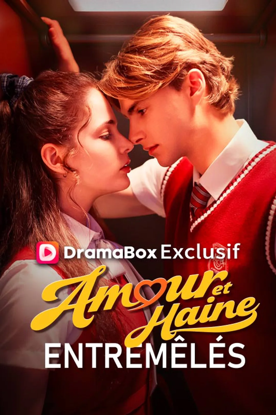 Affiche de Amour et Haine Entremêlés