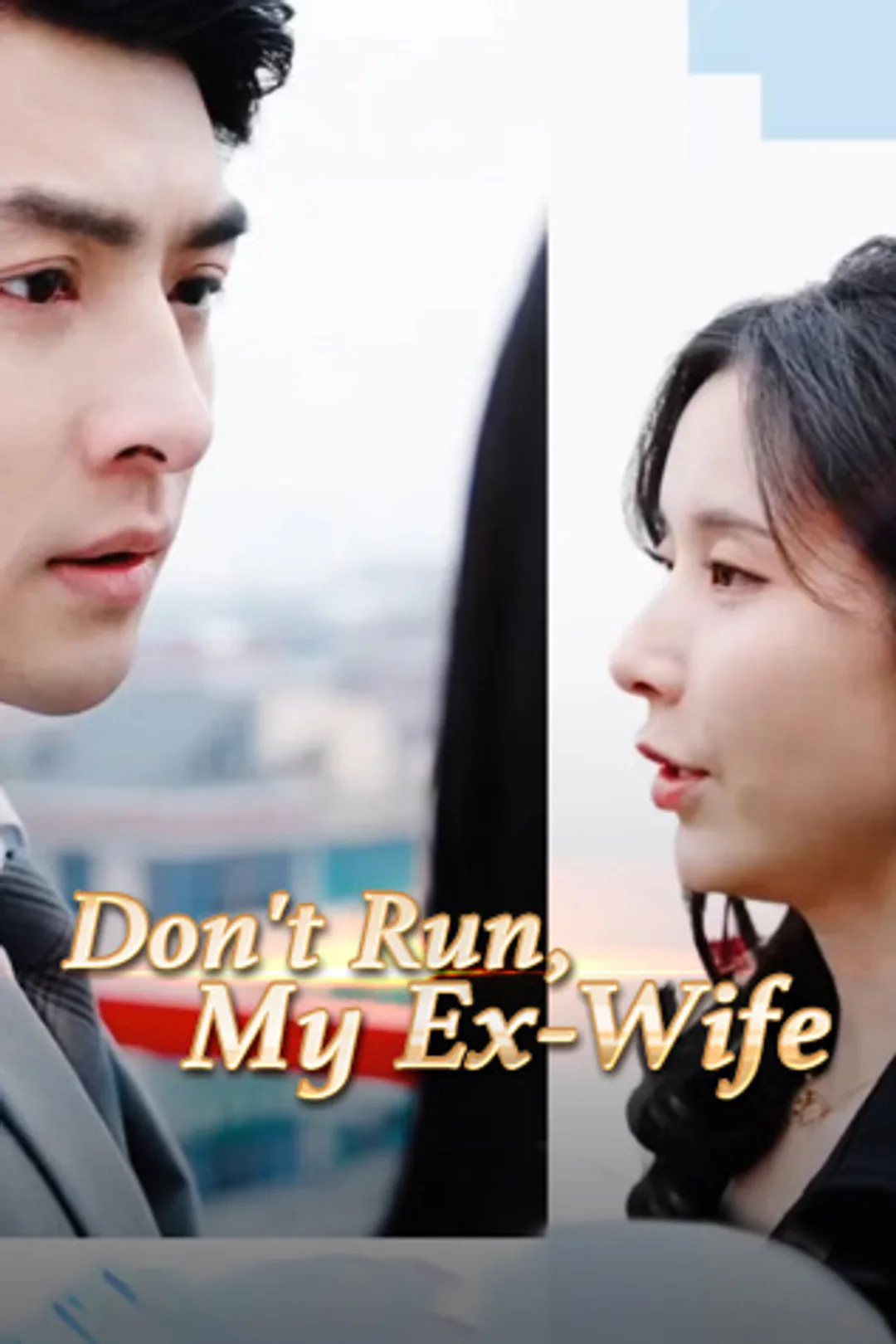 Don't Run, My Ex-Wife poster