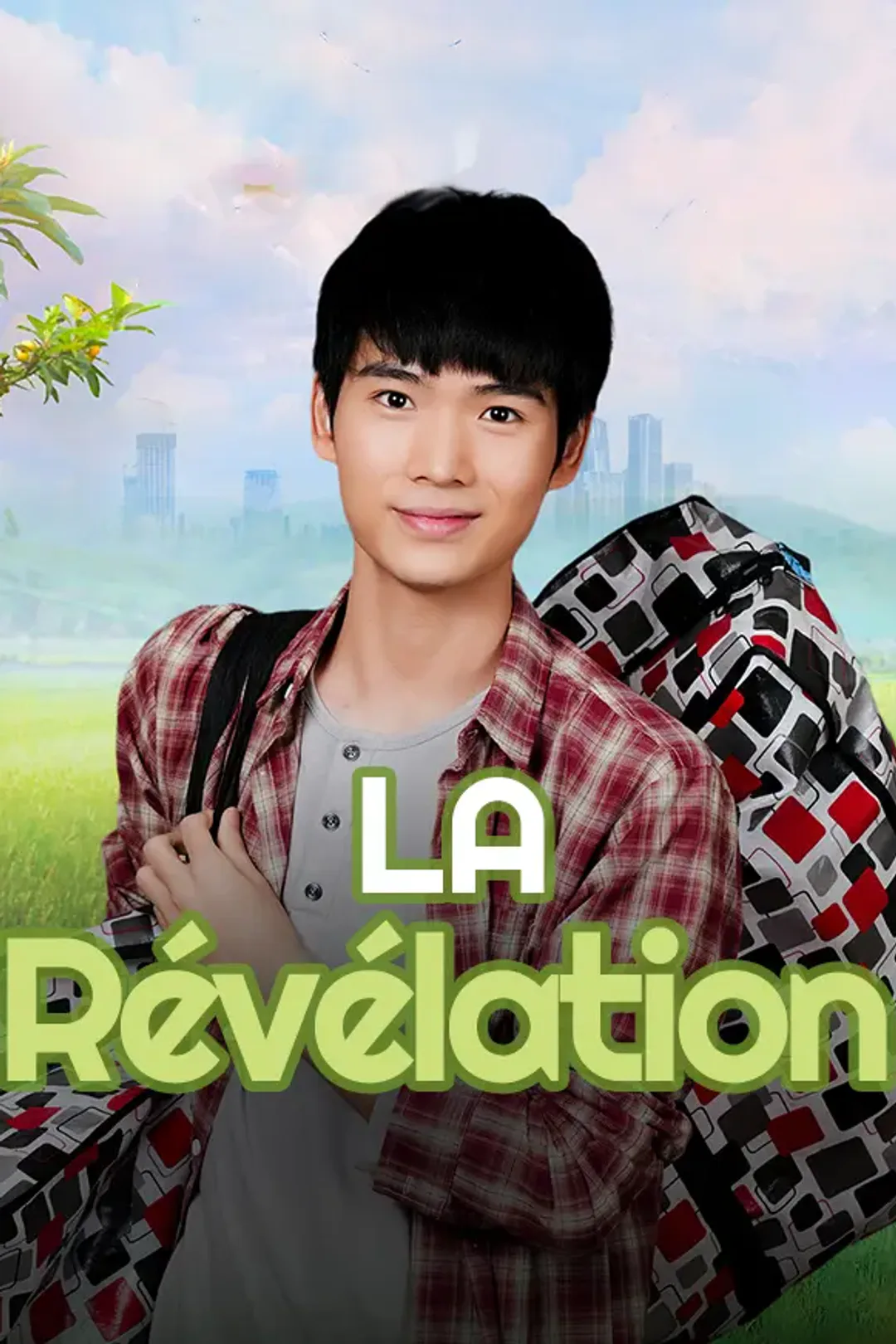 Affiche de La Révélation