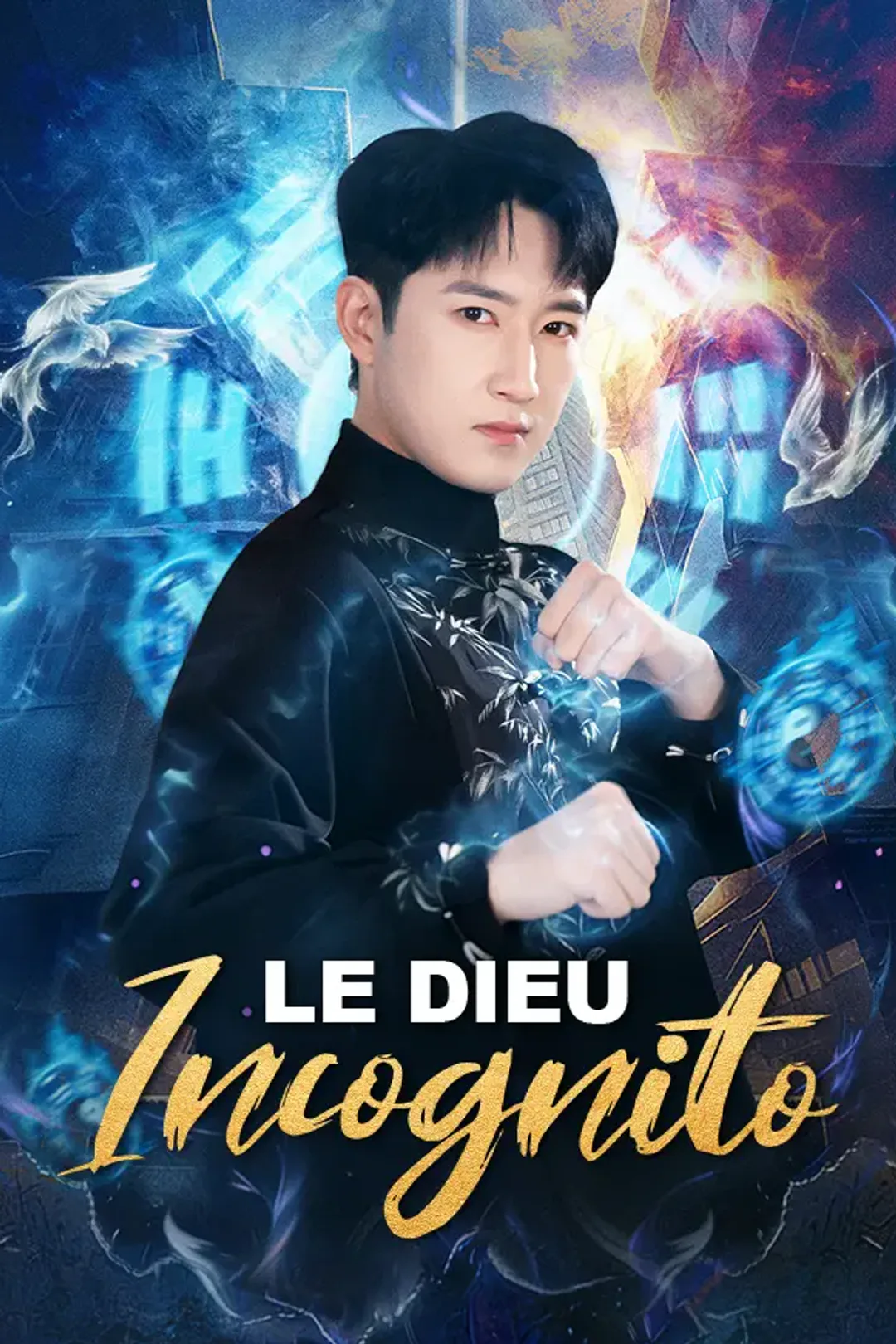 Affiche de Le Dieu Incognito