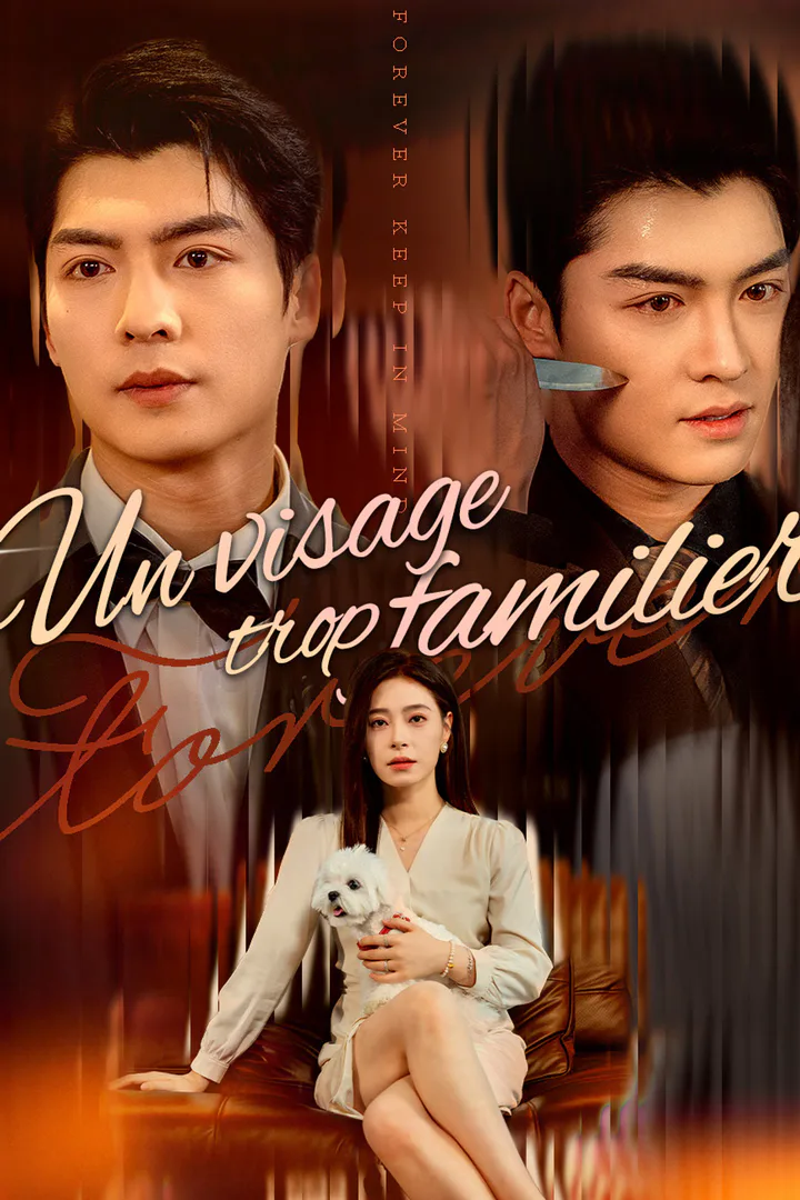 Affiche de Un visage trop familier