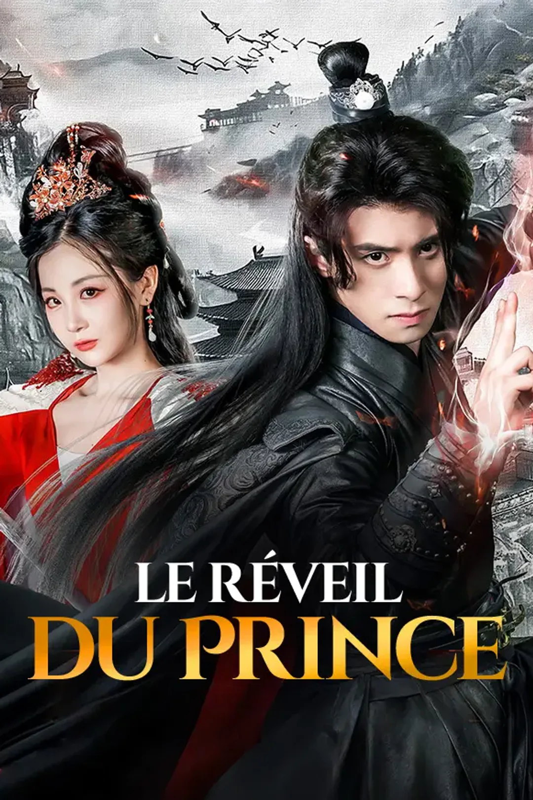 Affiche de Le Réveil du Prince