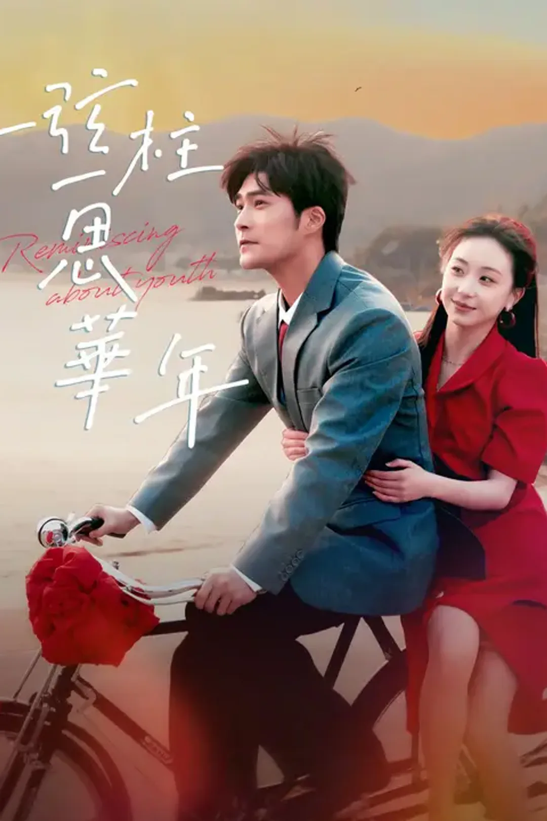 《一弦一柱思華年》海報