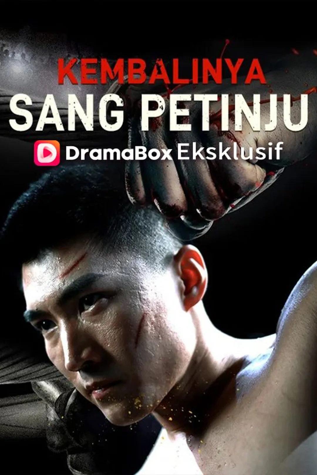 Poster Kembalinya Sang Petinju