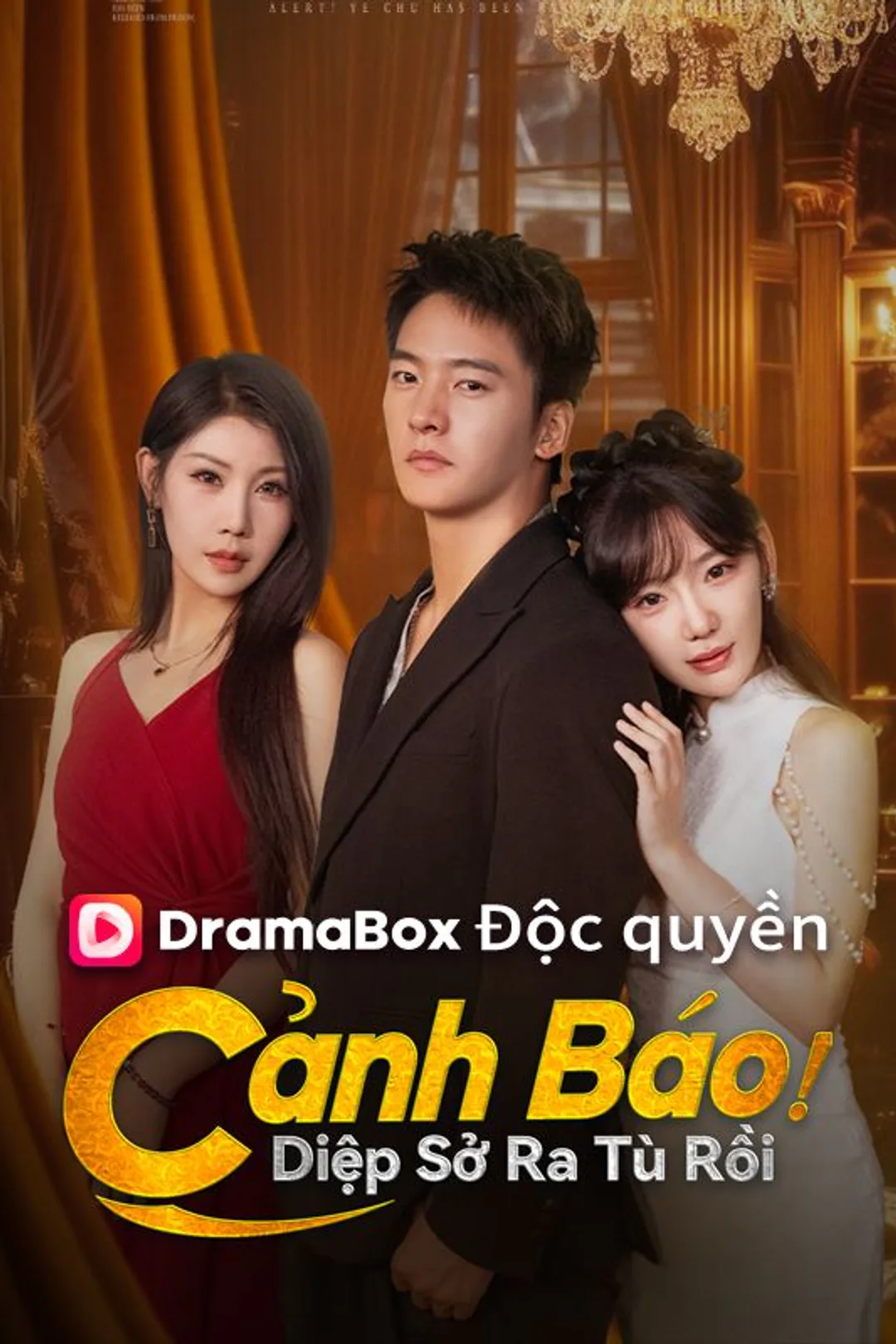 Poster phim Cảnh Báo! Diệp Sở Ra Tù Rồi