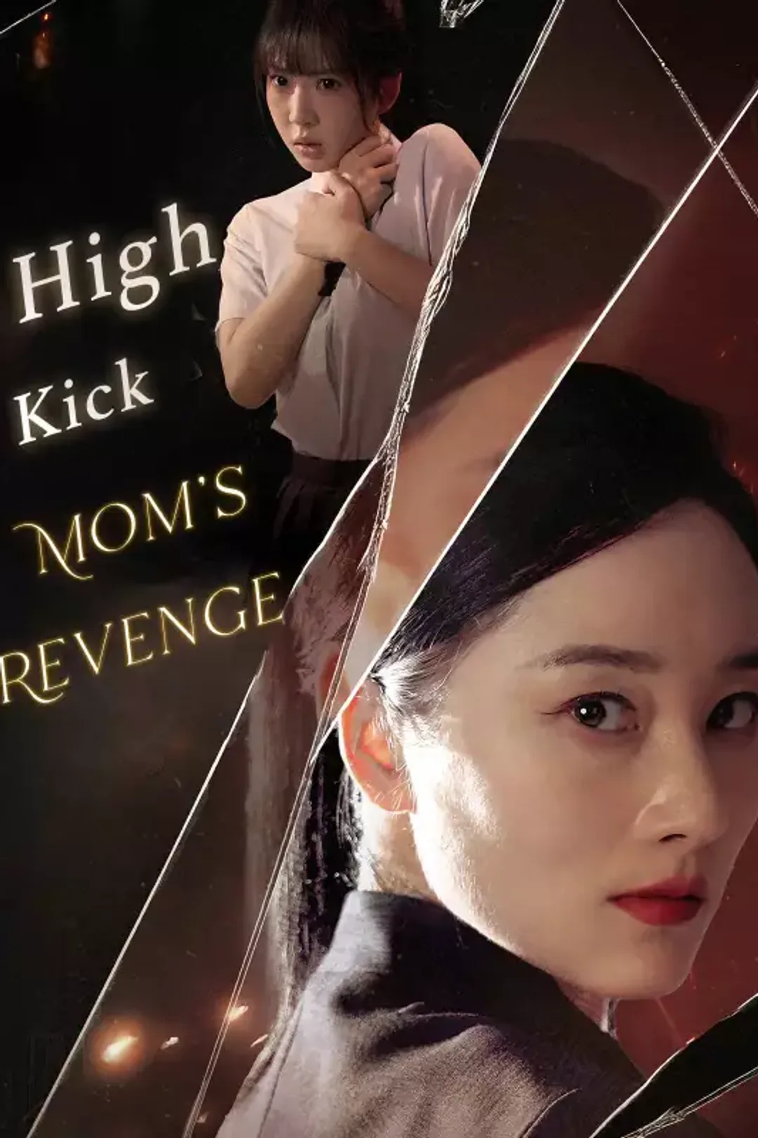 Pôster de High Kick: Mom's Revenge