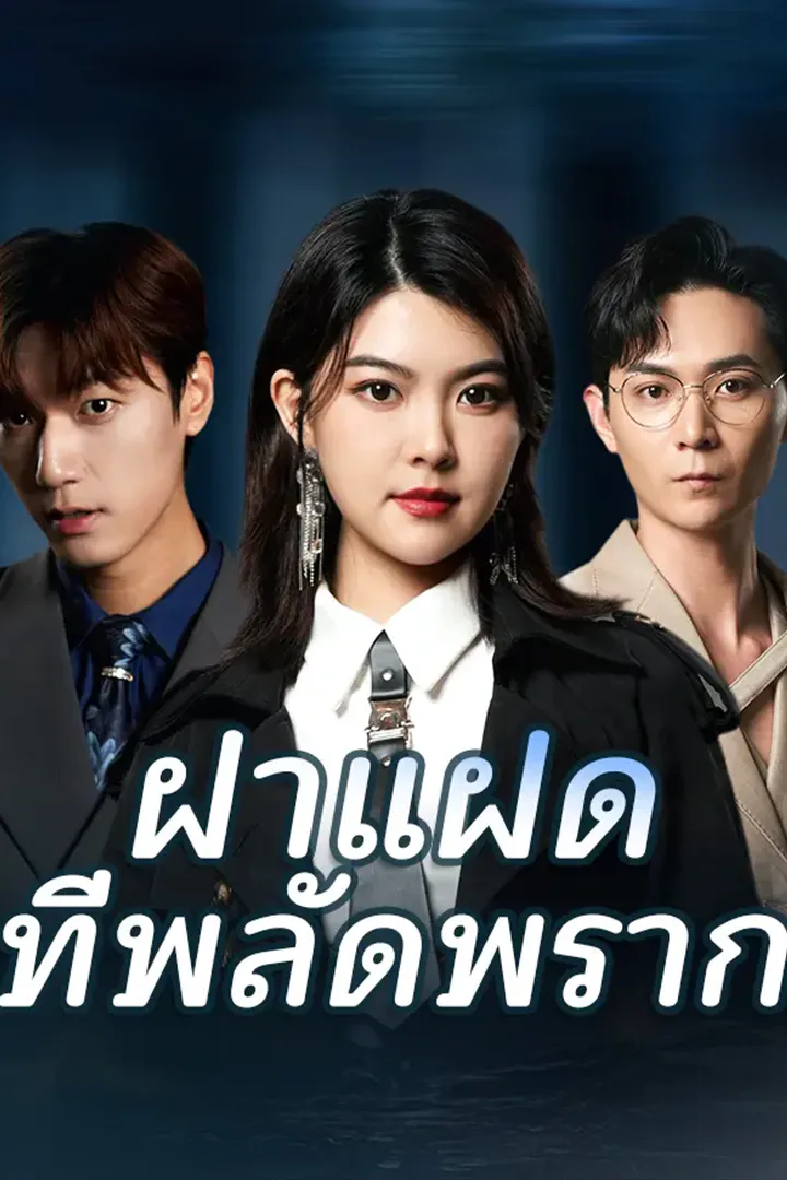โปสเตอร์ ฝาแฝดที่พลัดพราก