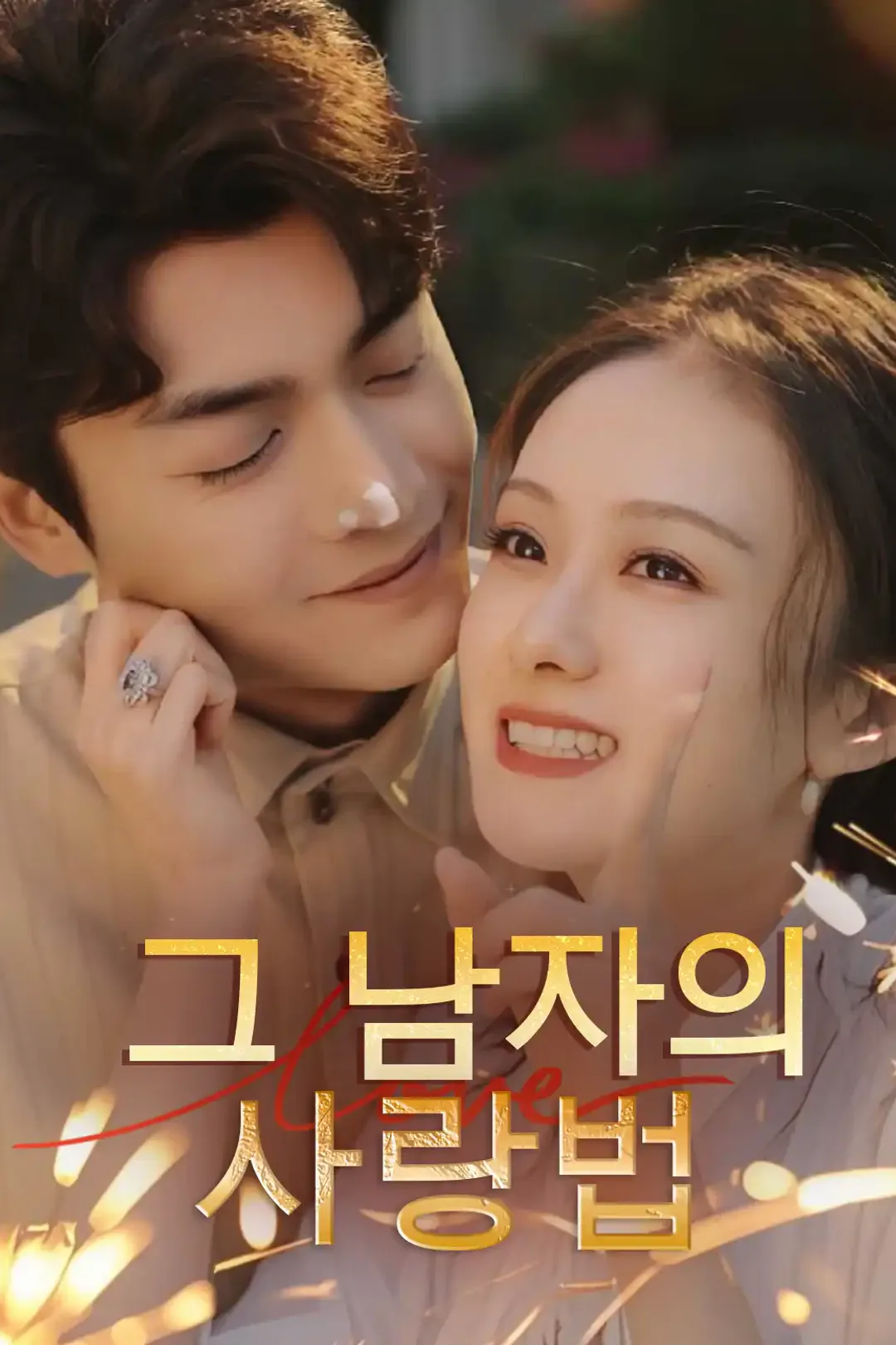 그 남자의 사랑법 포스터