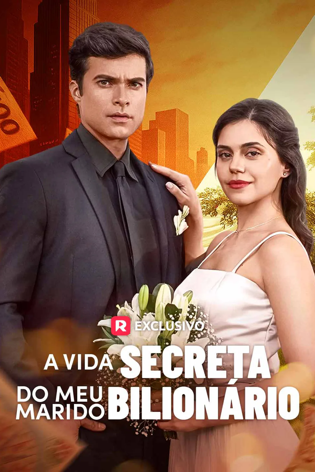 Pôster de A vida secreta do meu marido bilionário