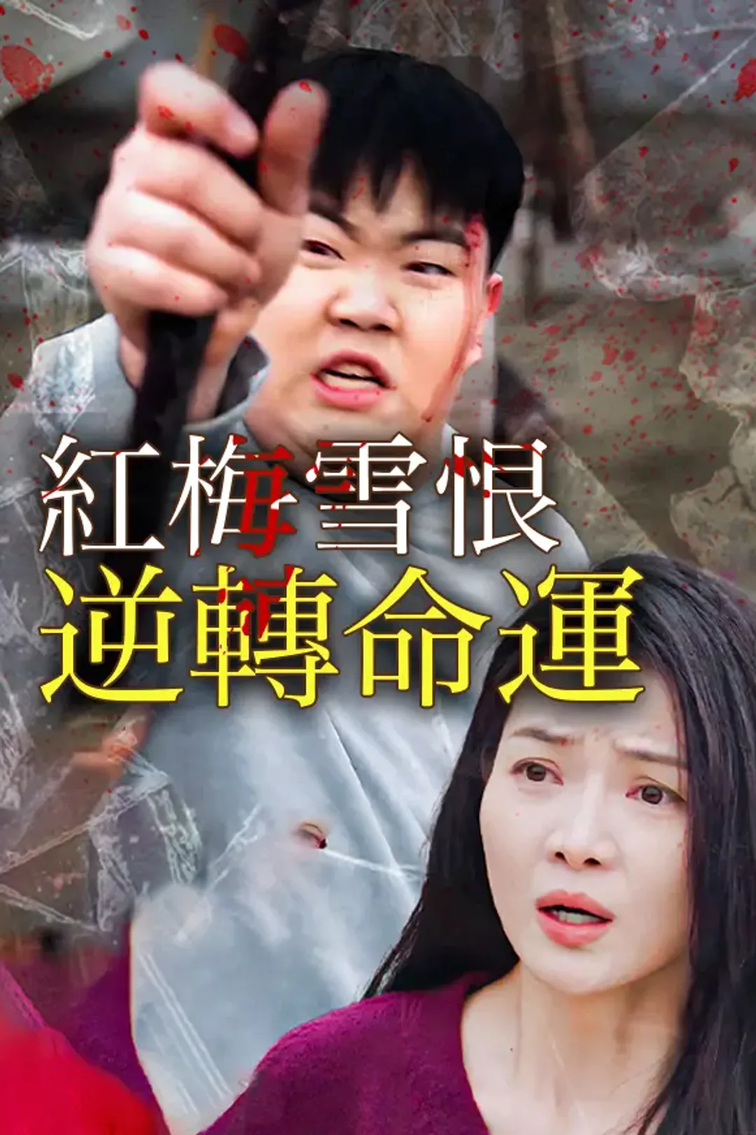《紅梅雪恨，逆轉命運》海報