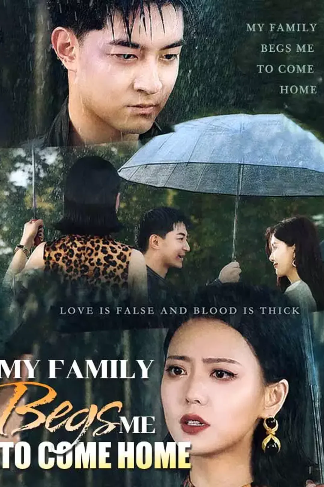 [cc] My Family Begs Me to Come Home poster