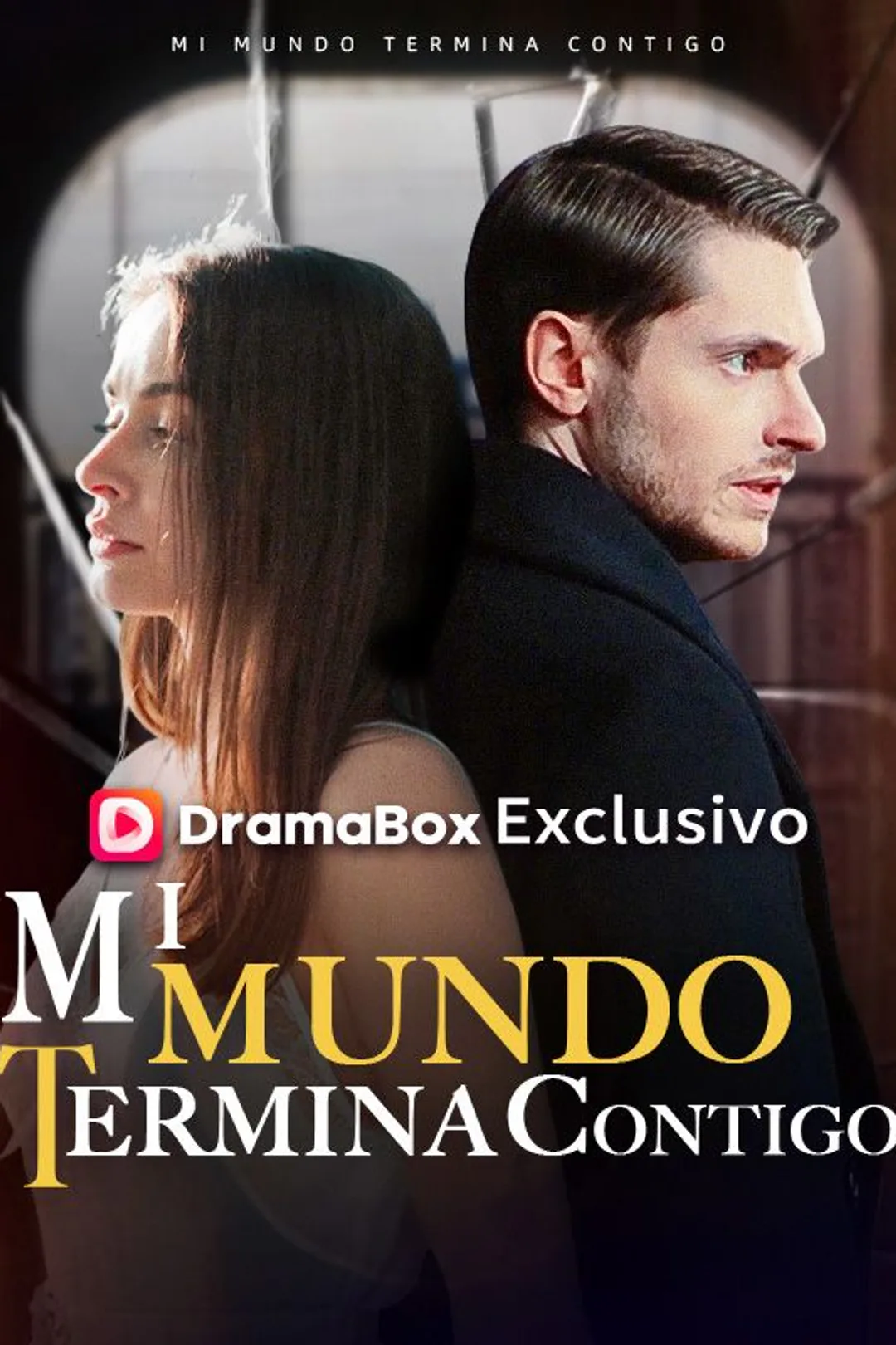 Póster de Mi mundo termina contigo